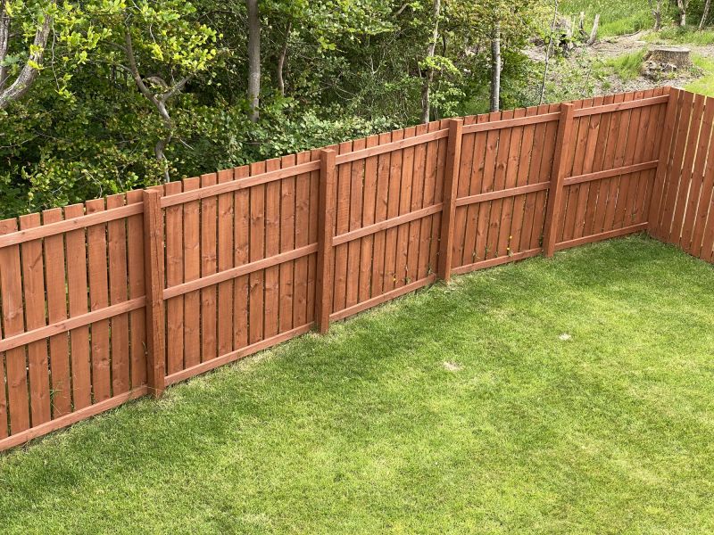Side yard and fencing painting